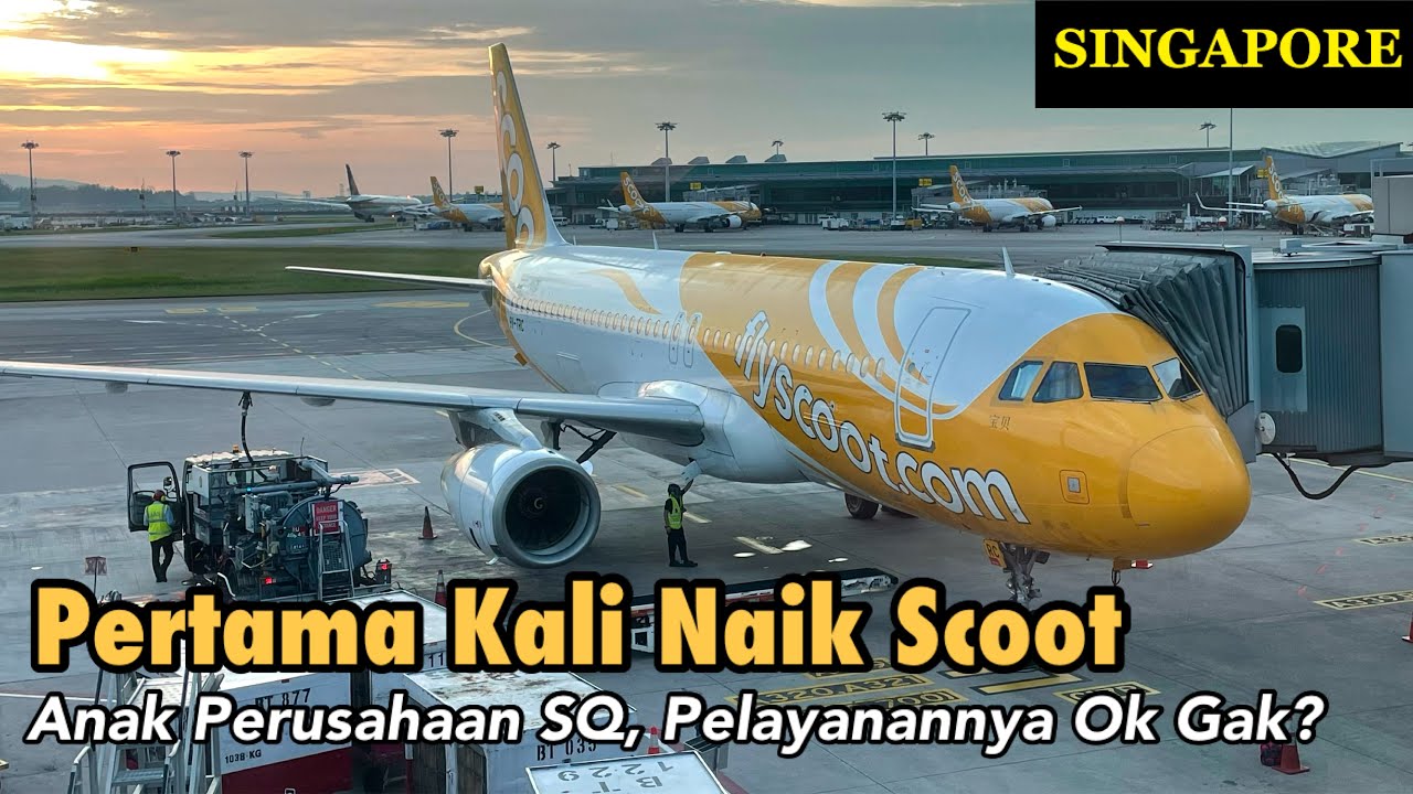 SCOOT Airlines | Nonton Dulu Sebelum Booking Tiketnya