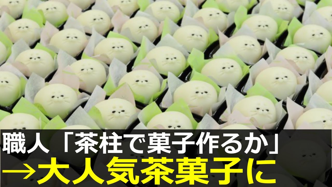 アザラシ幼稚園、茶柱たちが大人気茶菓子になってしまう