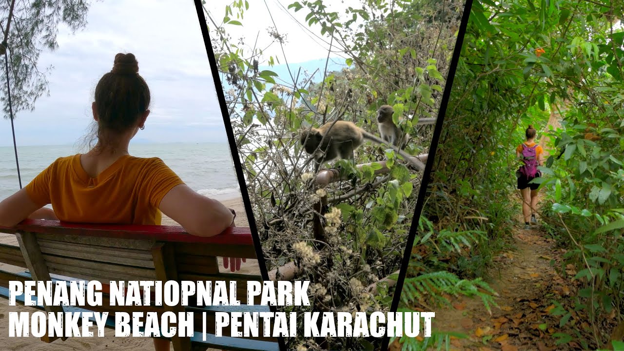 Hiking Penang National Park - monkey beach to Pentai Karachut