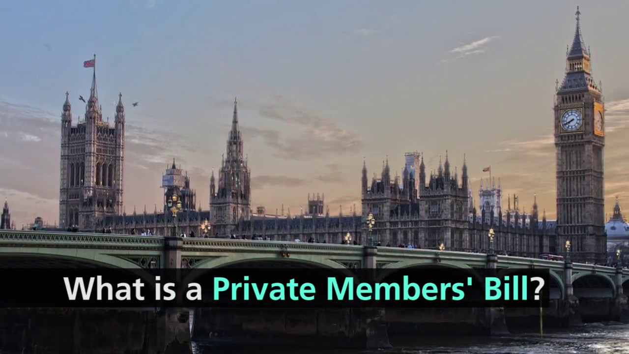What is a Private Members' Bill?