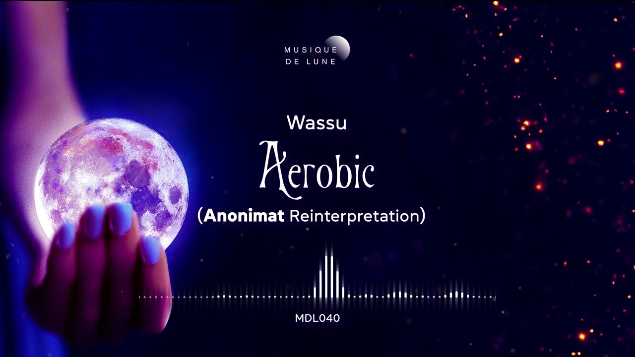 Wassu - Aerobic (Anonimat Remix)