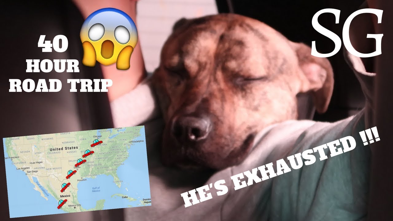 40 HOUR ROAD TRIP TO MEXICO!!!