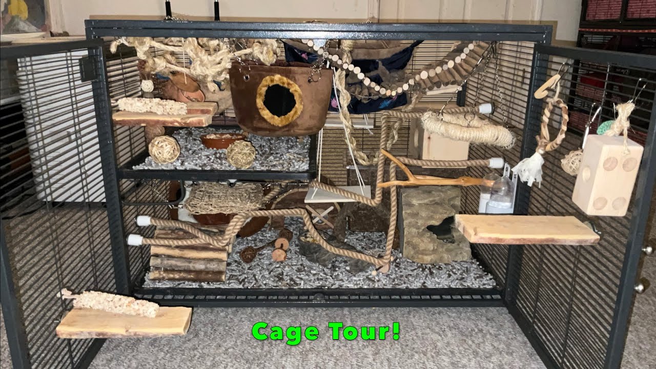 Naturalistic Single Critter Nation Rat Cage Tour!