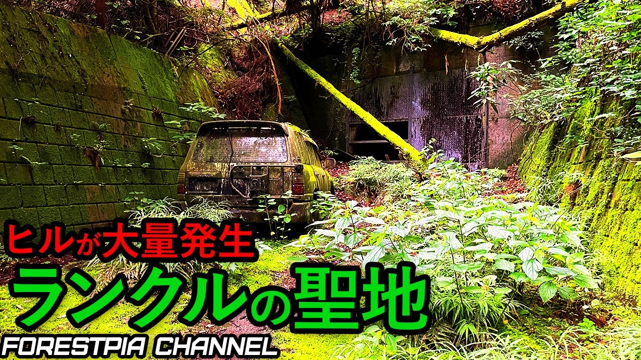 【超危険】盗難ランクルが眠る廃道 三島隧道 行ってみたら大変なことに // フォレスター 特別仕様車 XT-Edition