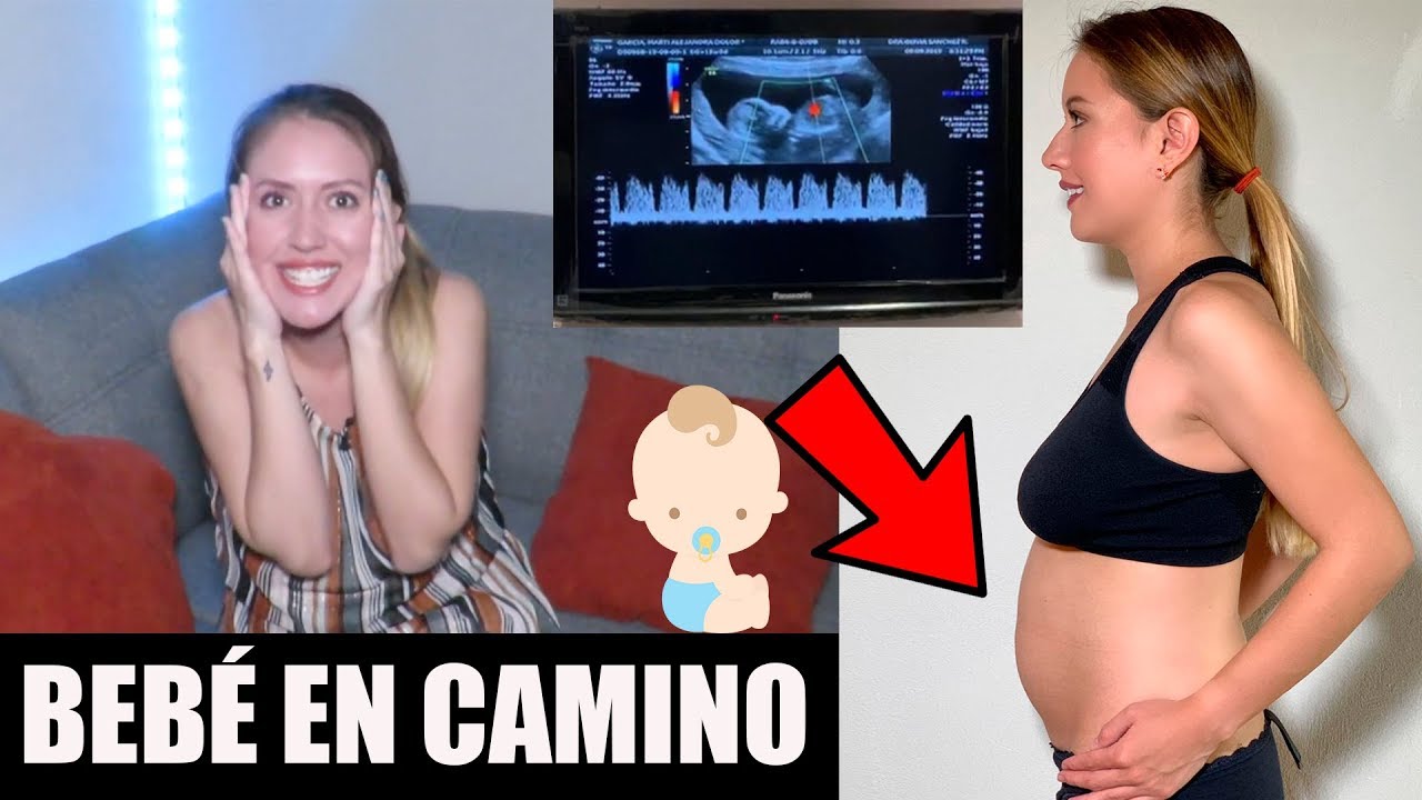 VOY A SER MAM&Aacute; - Primer trimestre - TODO LO QUE PAS&Oacute; / AleDolores