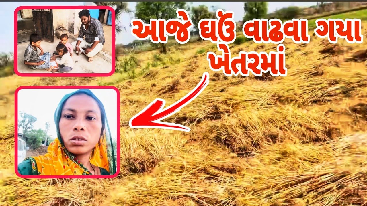 ઘઉં વાઢવા ગયા Khetar Maa 🥰 Chauhan Family Vlogs 😍 Thakor Femily Vlogs Gujarati 🥰 VLOGS BLOCK 