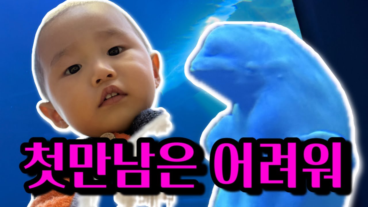 [VLOG]로이의 새해맞이 여행 (Ft.어른들이 더 신난이유)오늘은정로이브이로그/육아브이로그/18개월아기브이로그/육아일상브이로그/성장기록