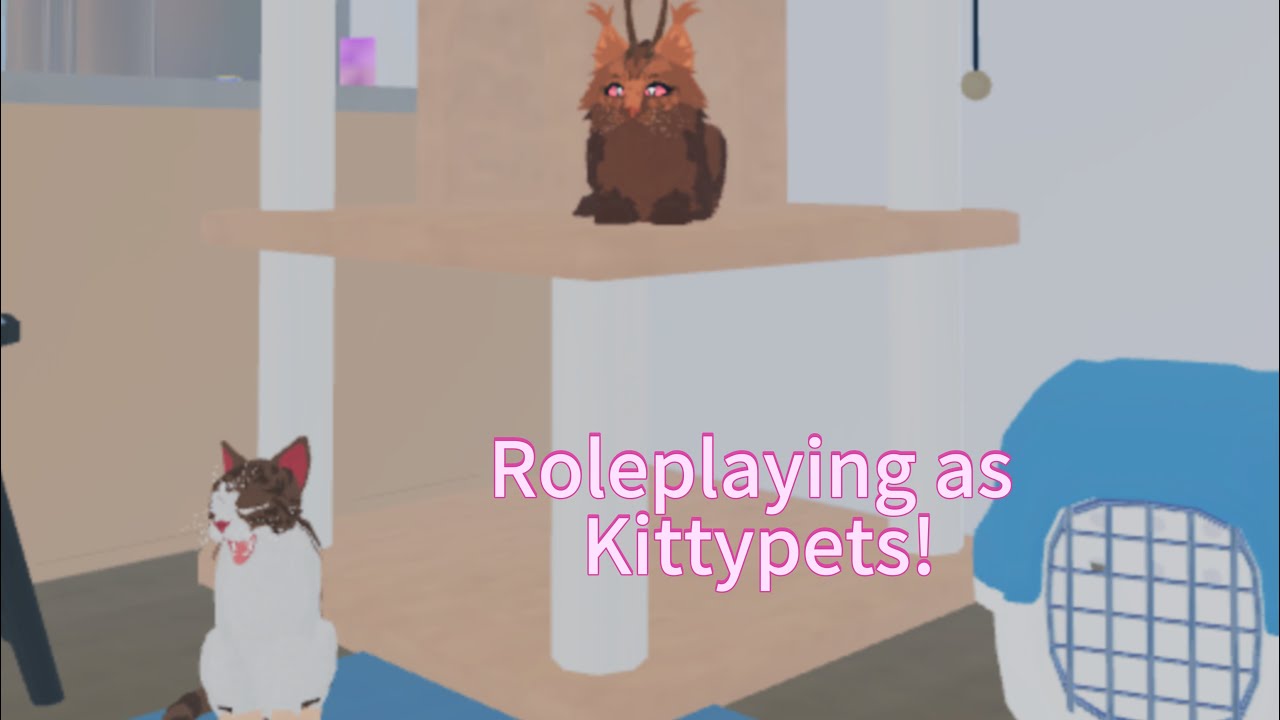 Roleplaying as kittypets || EP1 mini series || ft. @dogdakota 