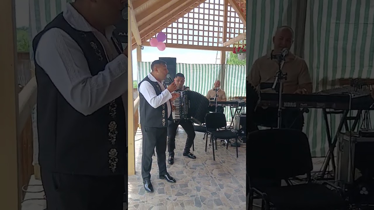 Alin ungureanu si ionuț de la naipu 