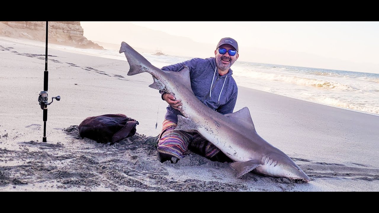 Pesca de Tiburón Tollo de 40 kilos con una caña M