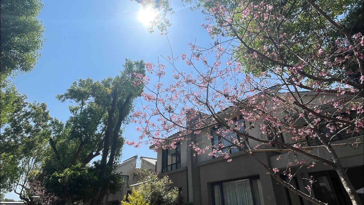 🌤️🏡夢想的家園｜心中日月➡️74坪大地坪綠意別墅、社區保全管理完善，回家就像渡假🏖️前院可停雙車、一樓孝親房｜森林系樟木步道療癒滿分0910569272安安#reels#8bit#home#退休生活