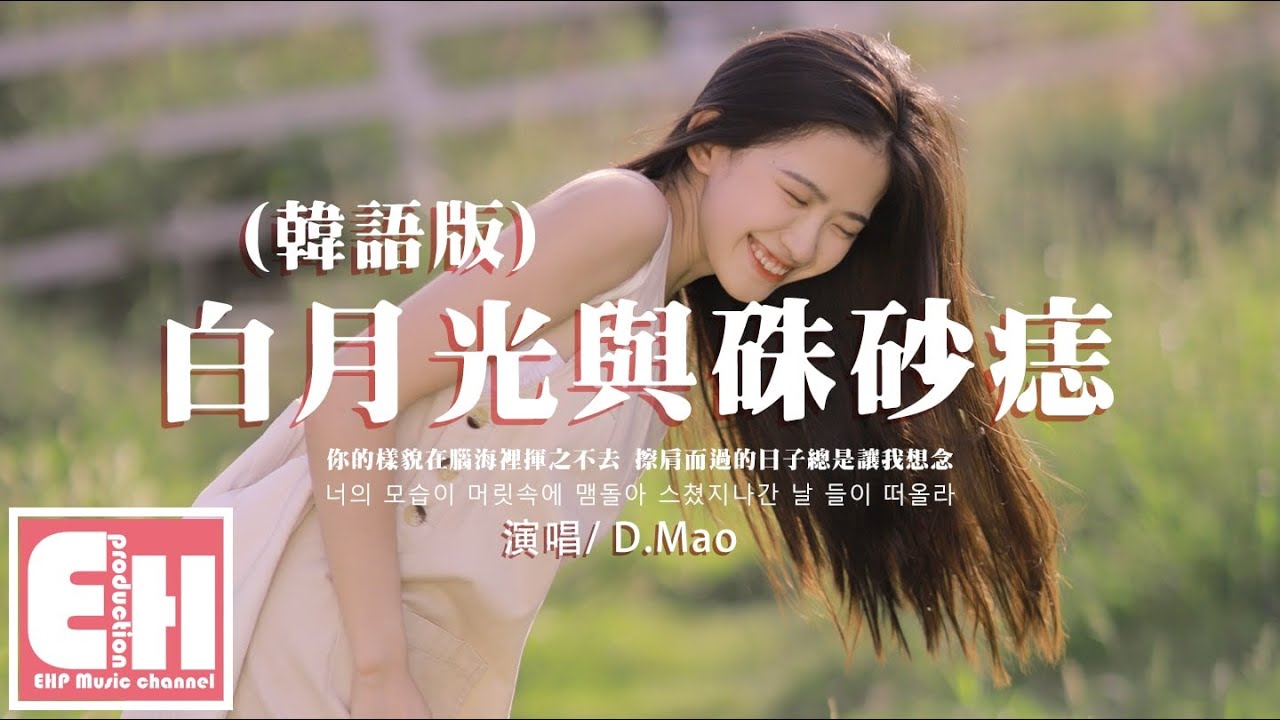 D.Mao - 白月光與硃砂痣（韓語版）『白月光照耀的時候，就會再次想起那個時候。』【中韓動態歌詞/Vietsub Lyrics】