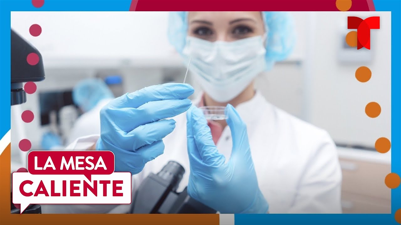 Destruir embriones y &oacute;vulos fertilizados ser&iacute;a considerado delito en Alabama | La Mesa Caliente
