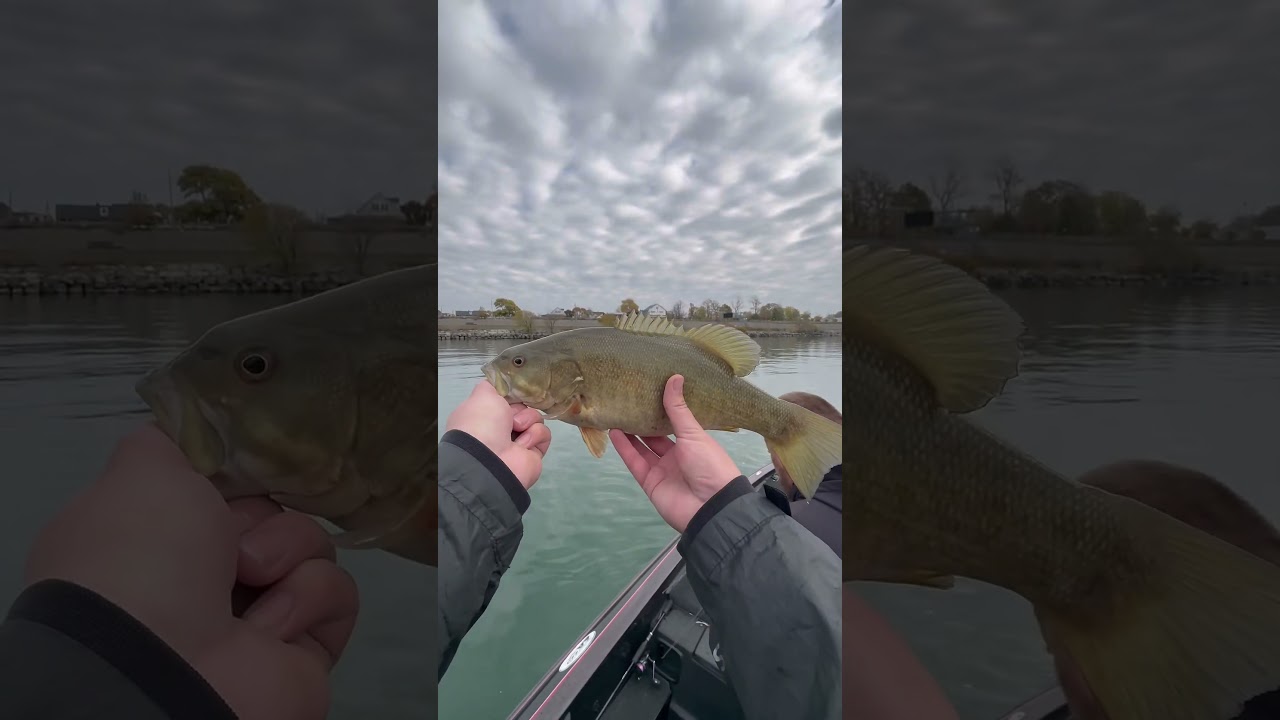 What’s it like fishing w/ fathead fishing co? Be ready to set the hook 