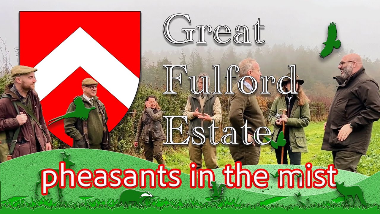 Фазан в тумане в поместье Грейт-Фулфорд, ноябрь 2025 г.