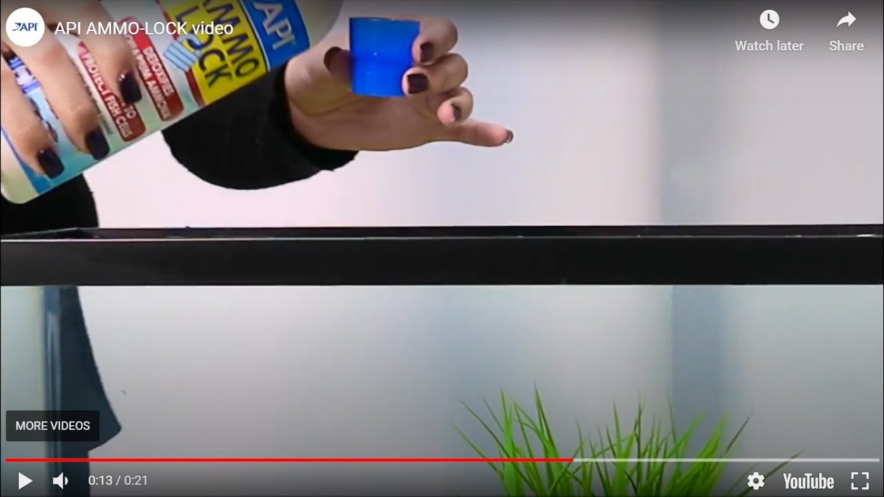 API AMMO-LOCK | How to Detoxify Ammonia