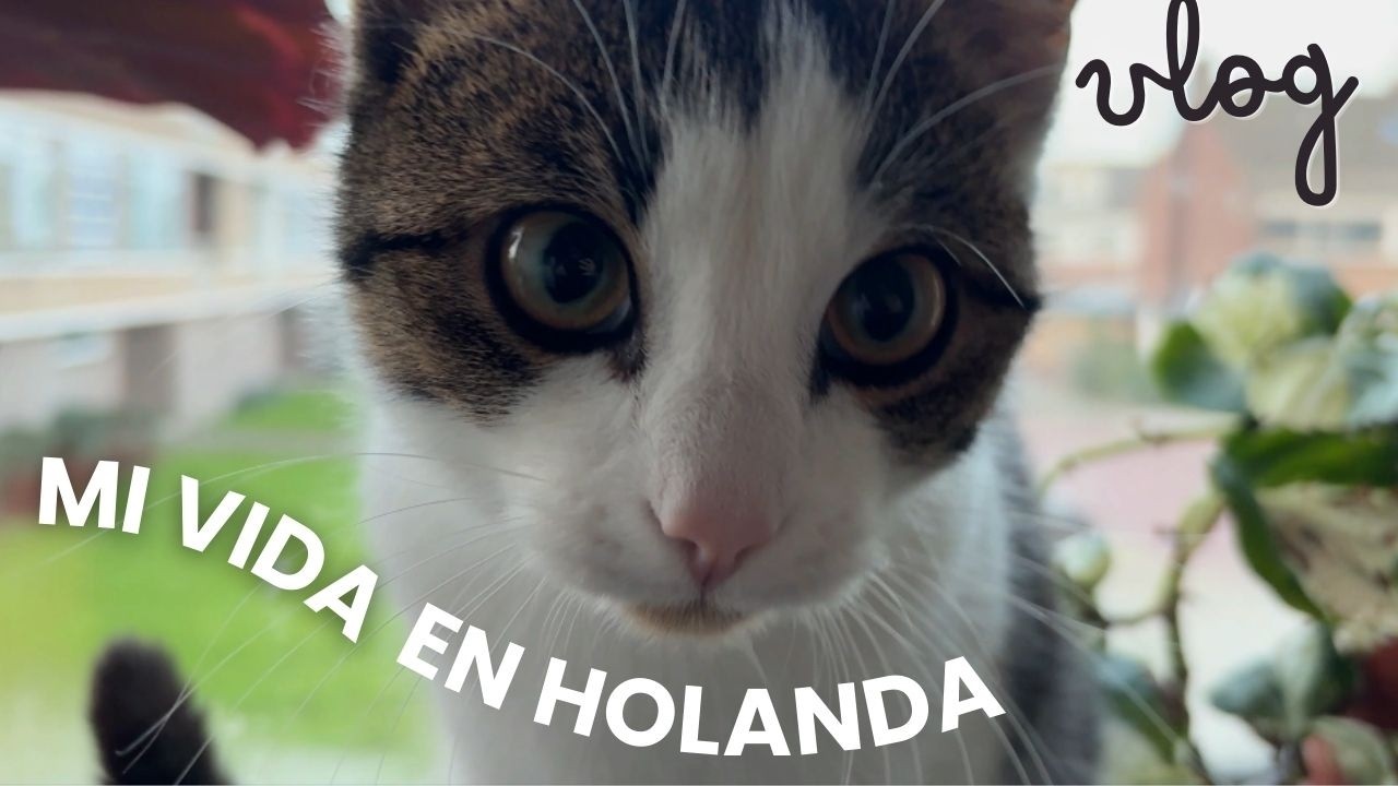 Preparando las MALETAS | Entrevista de TRABAJO ¿Me CONTRATARON? | VLOG | Mexicana en Holanda