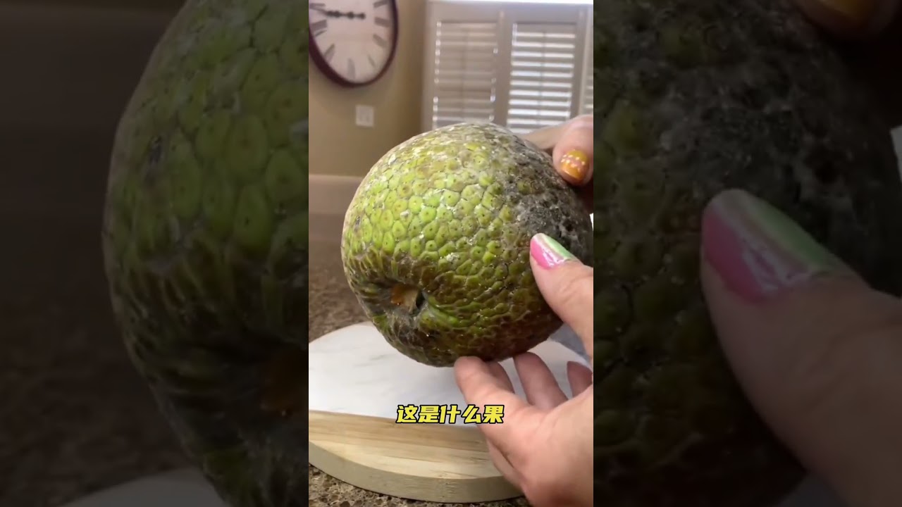 帶你認識奇特果子#萬物有靈 #科普 #創作靈感上熱門 #奇趣自然