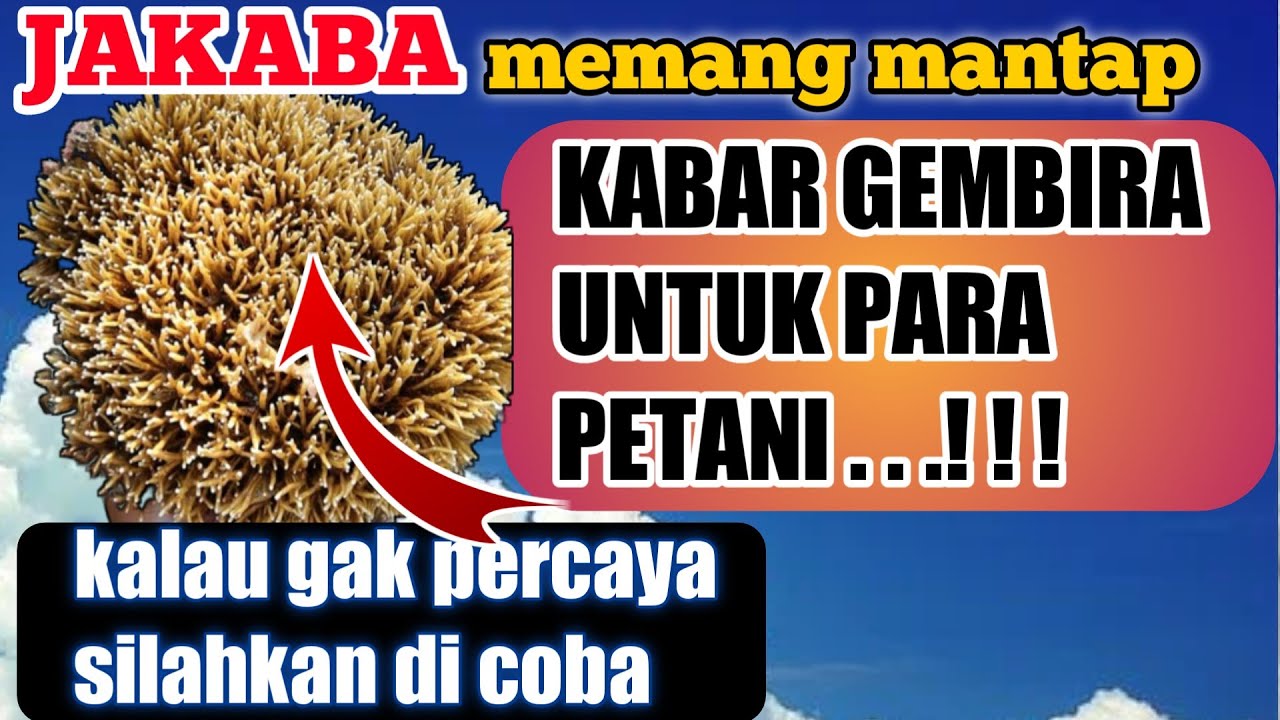 KABAR GEMBIRA UNTUK DUNIA PERTANIAN INDONESIA