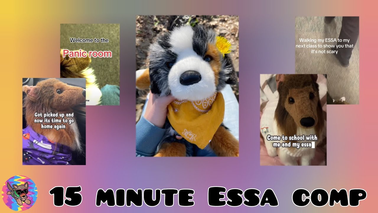 Essa comp because you  dont have tiktok do you? (School ed)