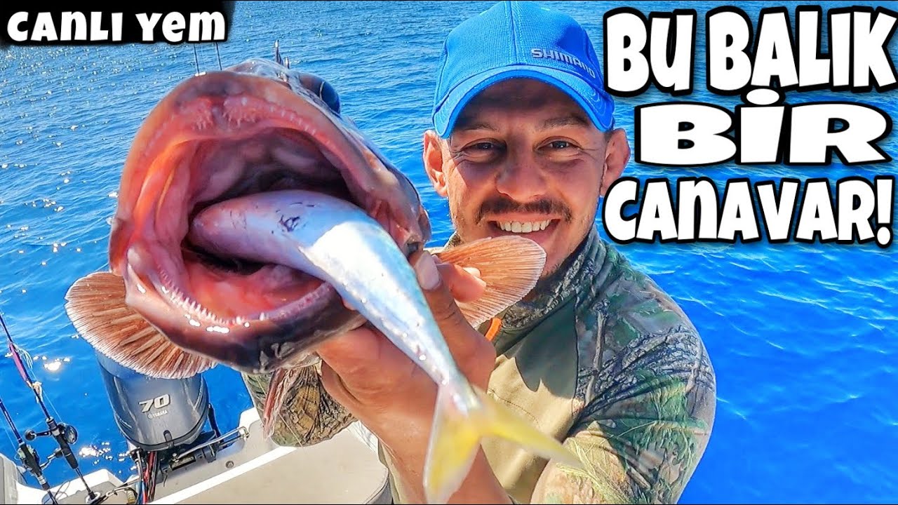 Denizde Tek Başıma! (Bölüm 2) Lahoz ve Pertlek Tuttum!Canlı Yem Avı