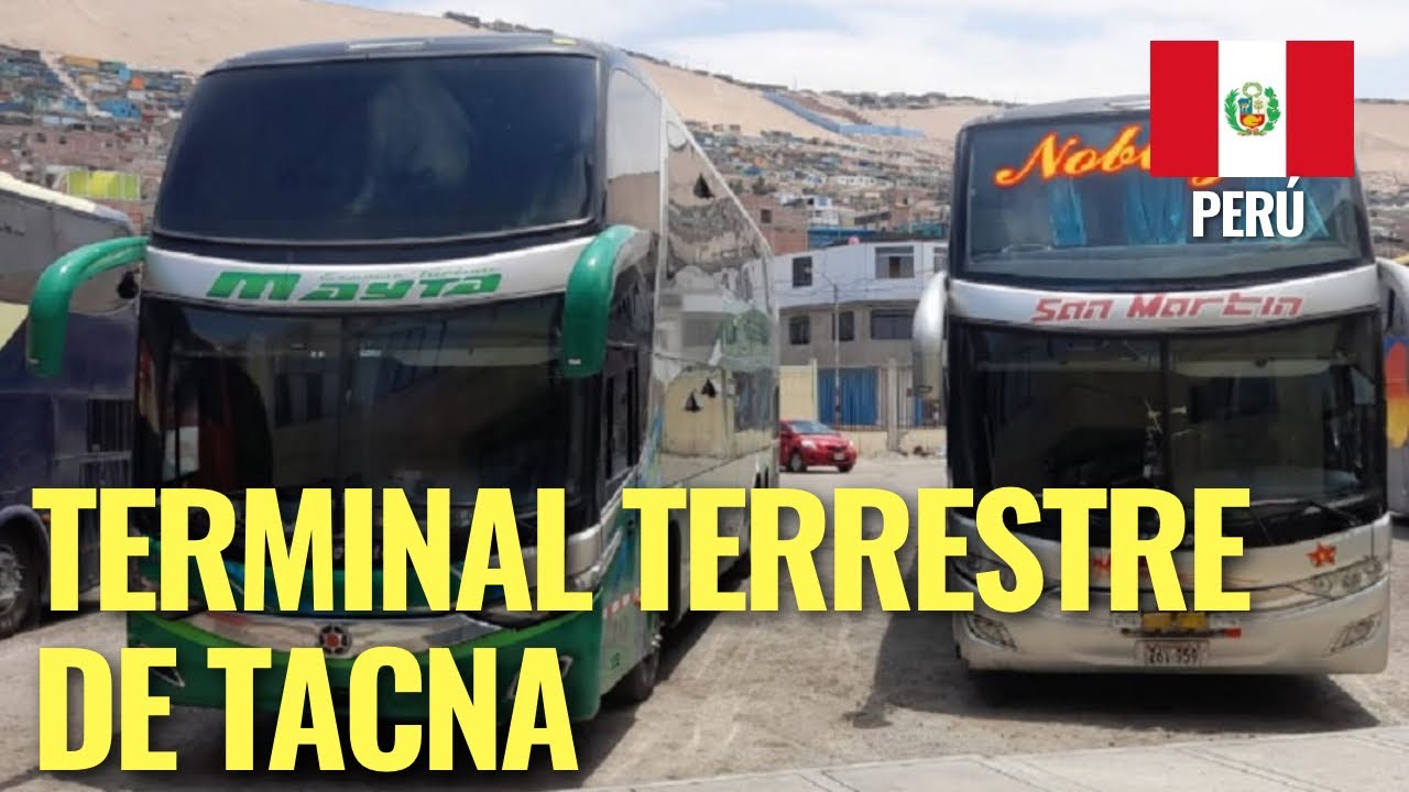 Recorriendo el Terminal Terrestre de Tacna, Perú 🇵🇪
