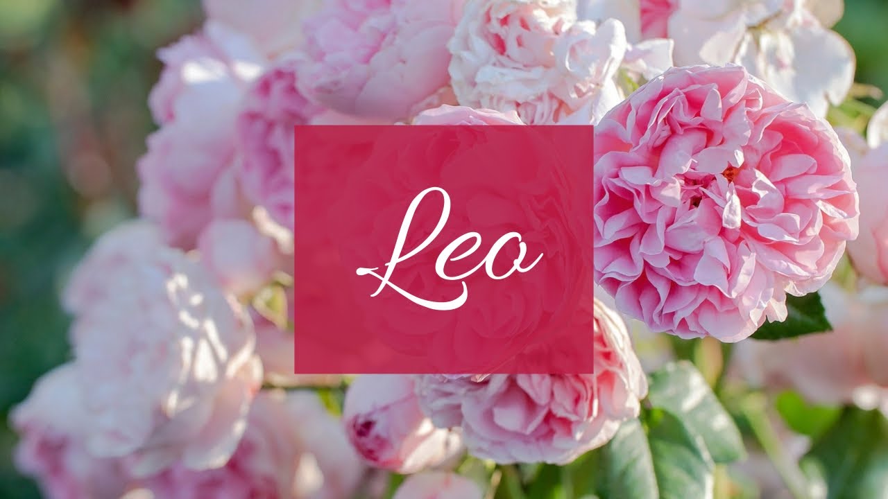 Leo❤️Who’s coming towards u in love: U ignoring is making them very upset..