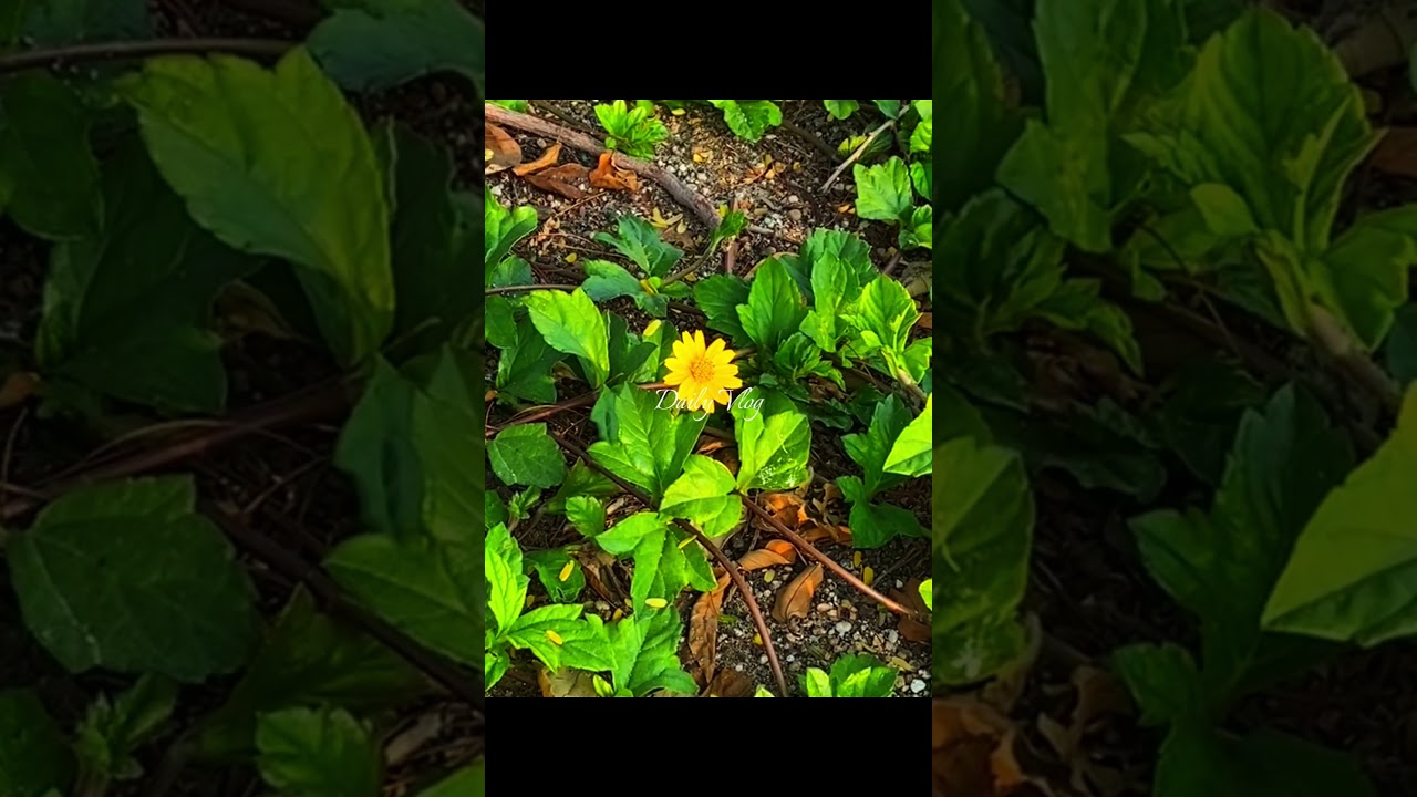 Winter mornings are made for comfort and gratitude ❄️ 