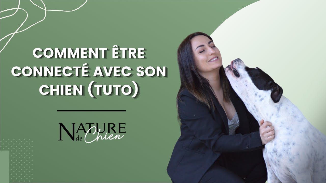 Comment être connecté avec son chien (Tuto)