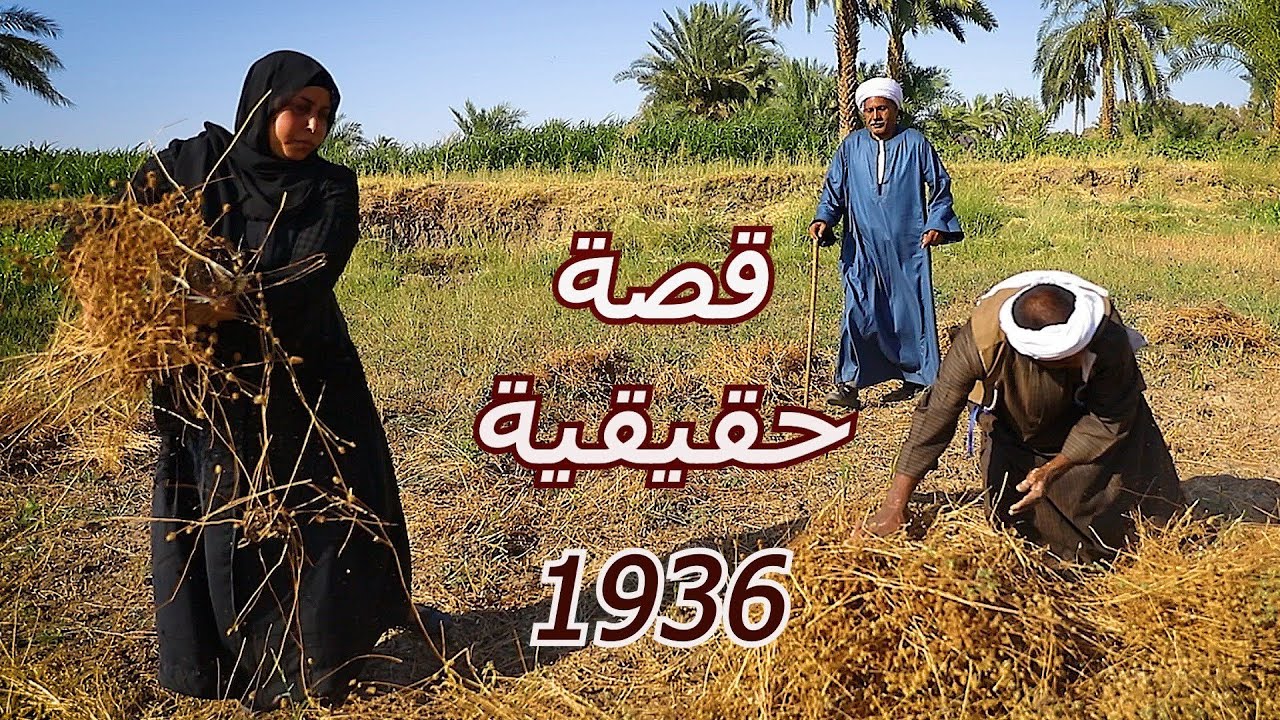 قصة حقيقية /  محاكم الزنا / القصة التي هزت الصعيد.... اعداد قناة صعيدي اون لاين