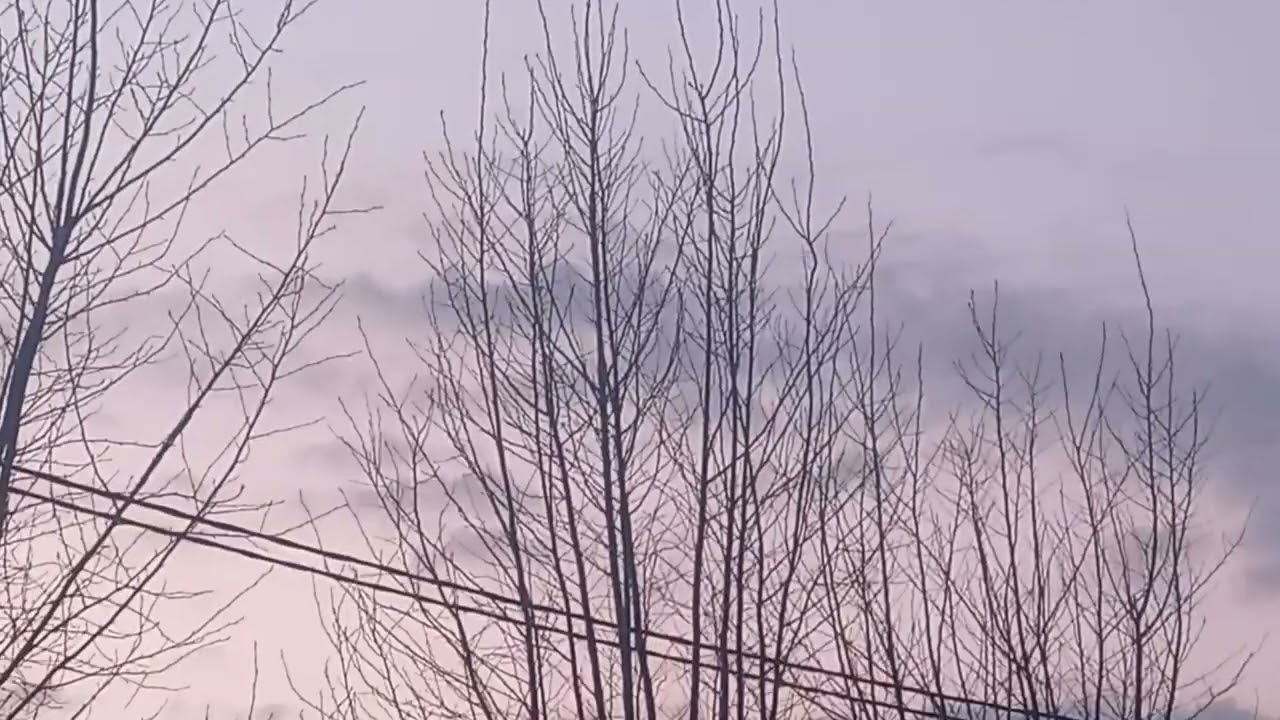 18 марта 2026 г.