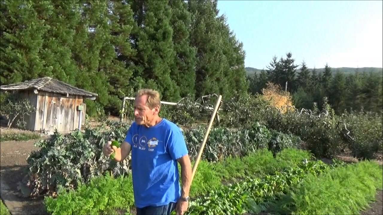 Создание плодородной почвы — Возвращение в Эдемский сад — L2Survive с Thatnub