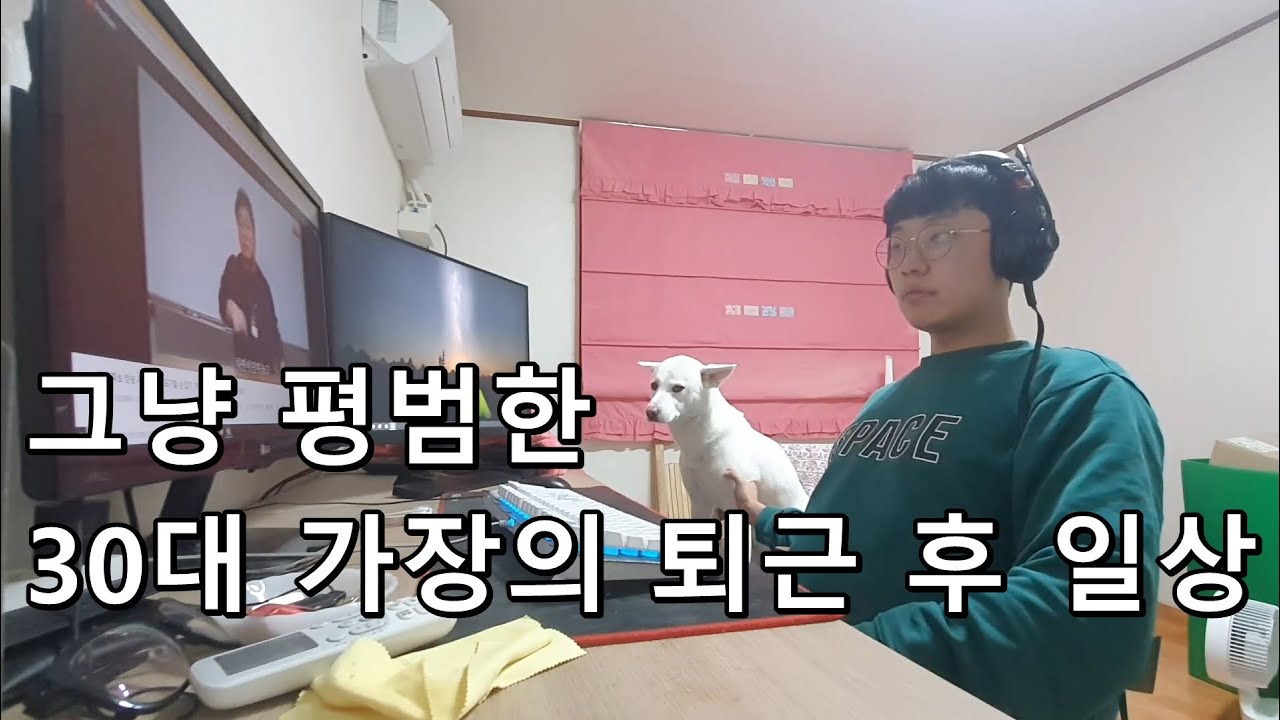 30대 가장 퇴근 후 평범한 삶 l 반려견 진돗개 고구마 간식 l 저녁밥 척아이롤 부채살 스테이크 l 브이로그 일상