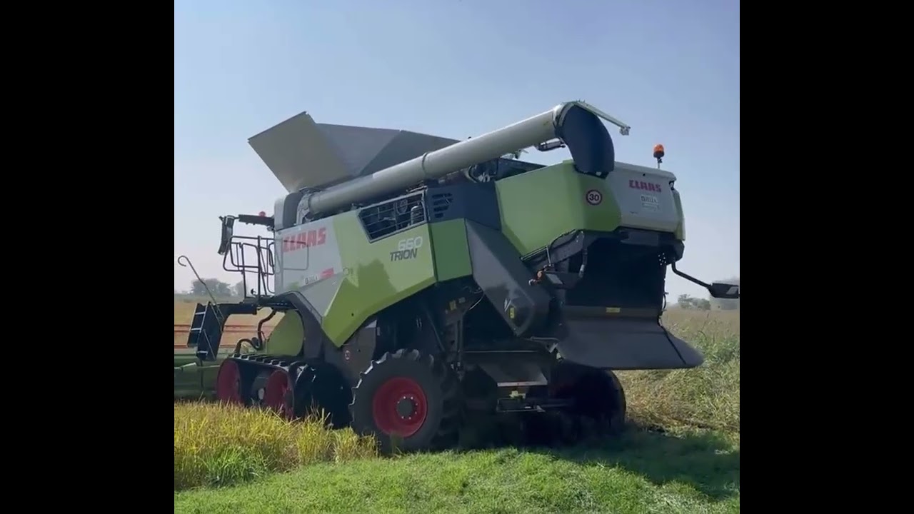claas trion 660 trebbiatura riso 2025 