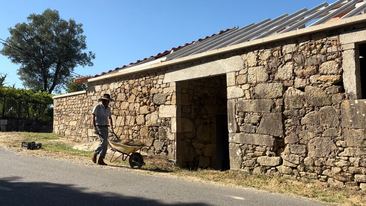#129 How a Guinea pig powers the homestead rebuild
