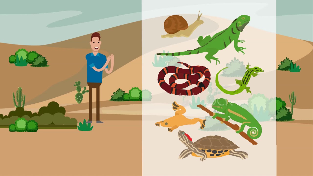 Plan de perturbaci&oacute;n controlada para fauna de baja movilidad
