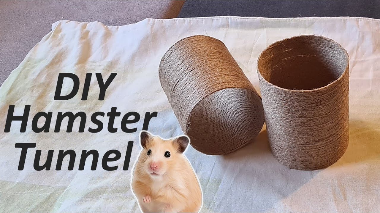 Hamster Tunnel DIY - How to Make
