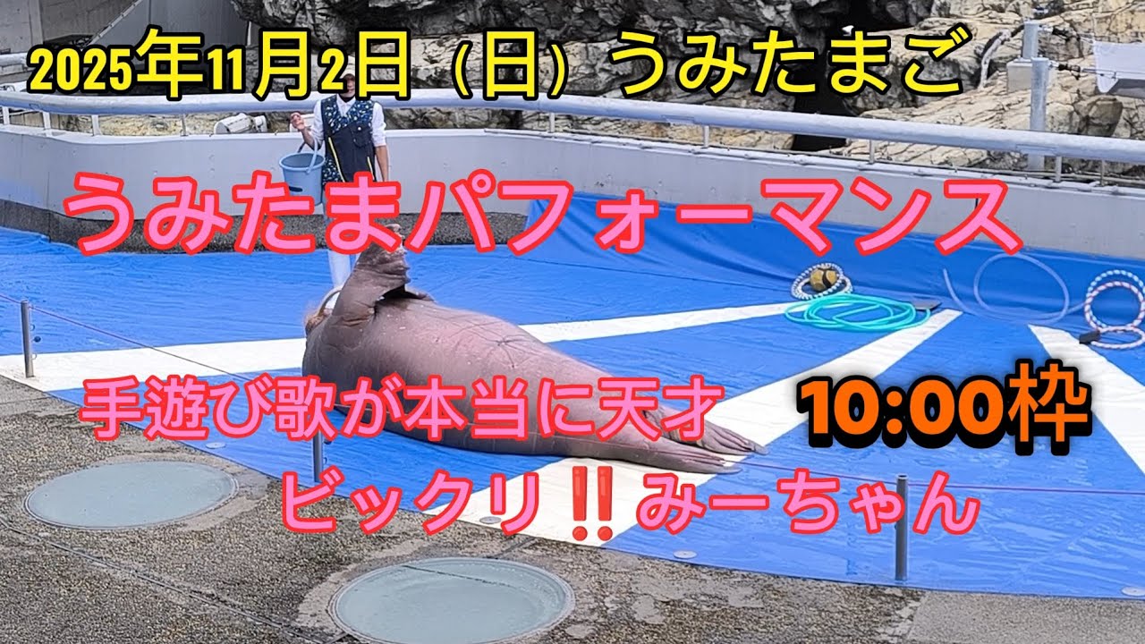 【大分マリーンパレス水族館うみたまご】2025年11月2日うみたまパフォーマンス手遊び歌、4種類あります