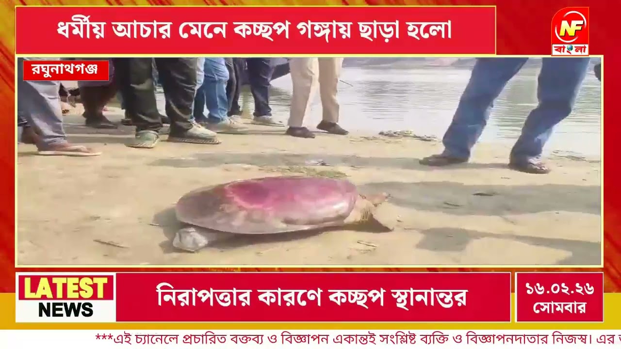 রঘুনাথগঞ্জে বিরল প্রজাতির কচ্ছপ উদ্ধার