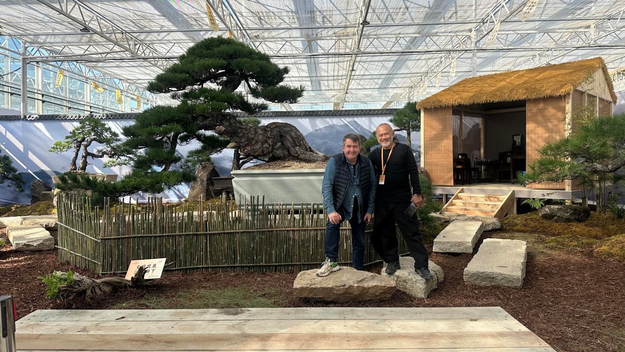 The Biggest Bonsai show on earth part two the traders