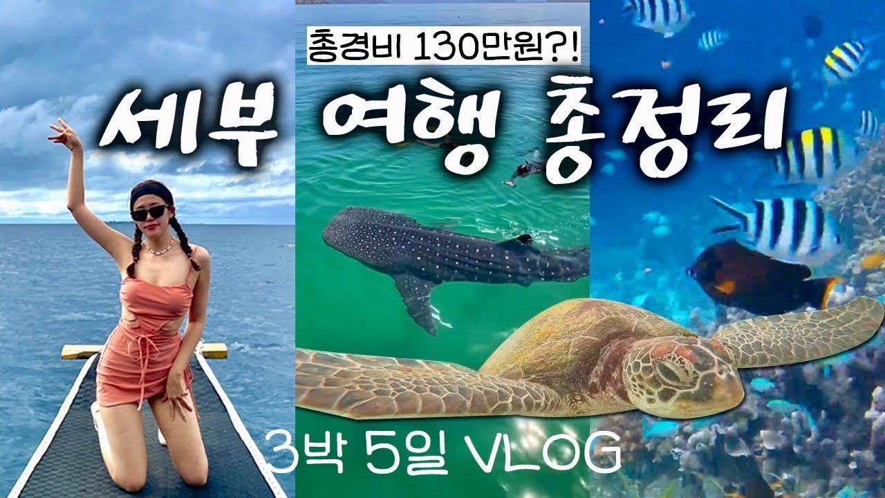 VLOG) 3박5일 세부여행브이로그 총정리🇵🇭 총경비 130만원?! 오슬롭 세부 호핑투어, 모알보알 맛집 추천, 숙소, 마사지샵, 환전 꿀팁 대방출🍯 | Cebu vlog