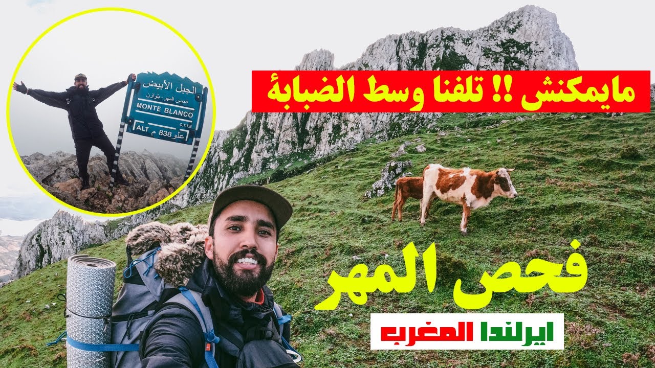 شاهد خيول حوز تطوان ب فحص المهر وجمالية قمة الجبل الأبيض Monte blanco Tétouan