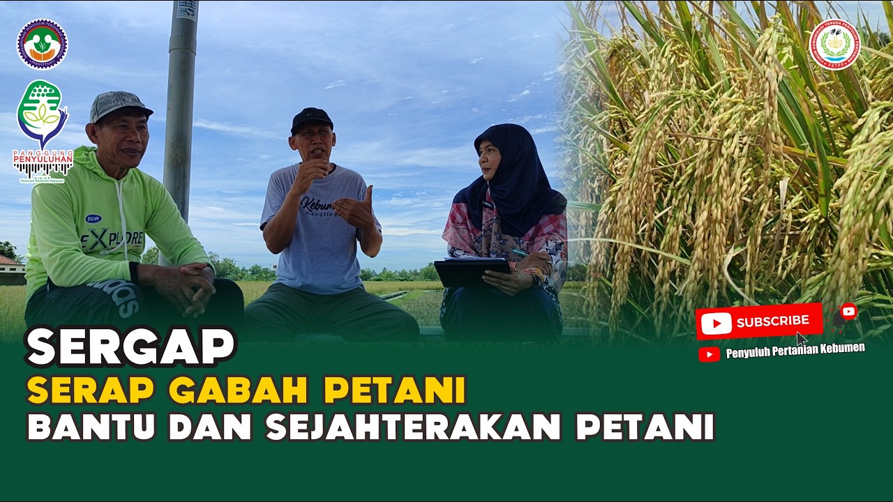 SERGAP (Serap Gabah Petani), Petani diuntungkan.