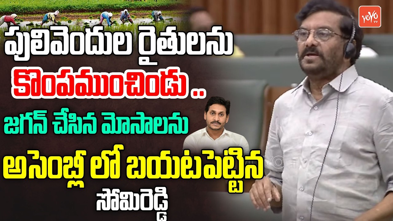 జగన్ చేసిన మోసాలను అసెంబ్లీ లో బయటపెట్టిన సోమిరెడ్డి | Somireddy Chandra Mohan Reddy Speech | YOYOTV