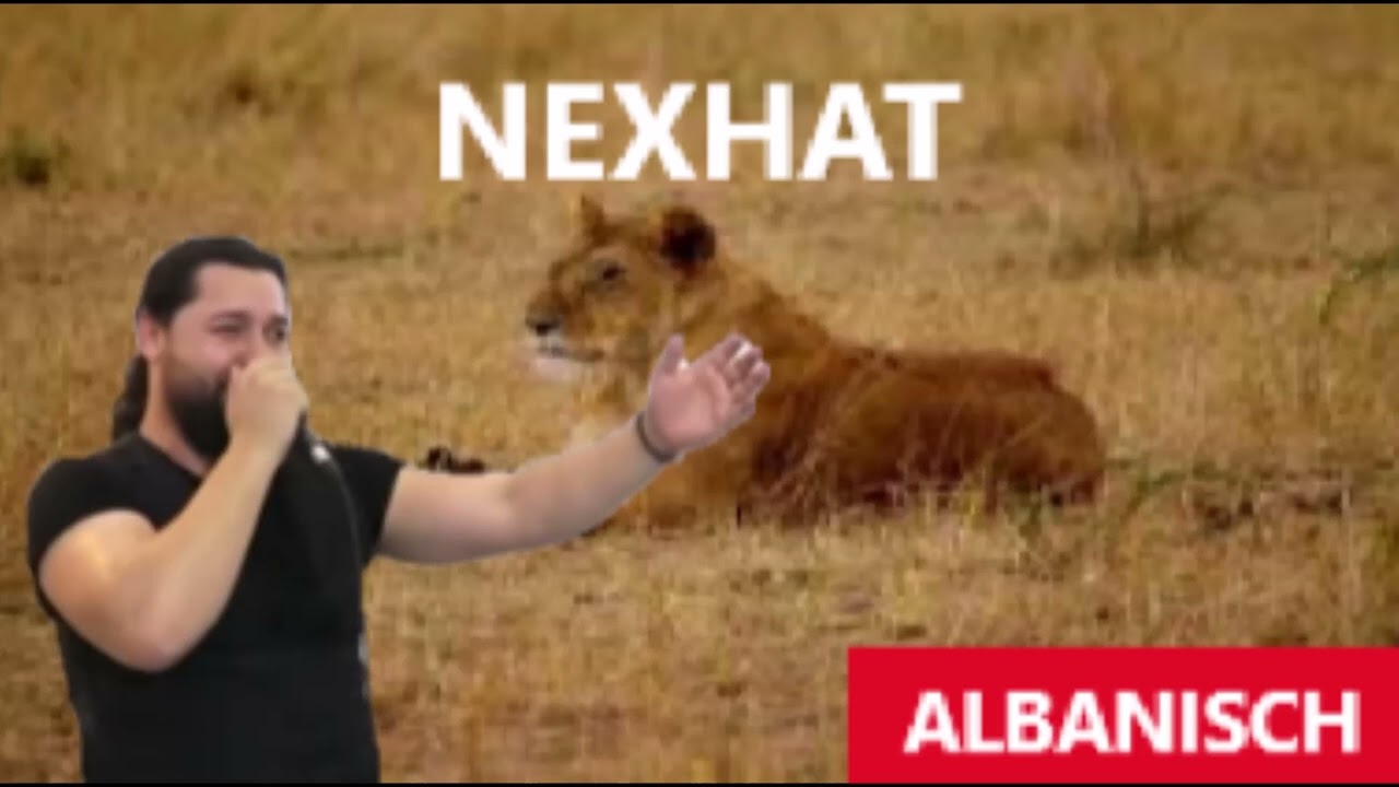 Nexhat Rama - Tallava 2023 per Familja Shkodra  vilson dura #180