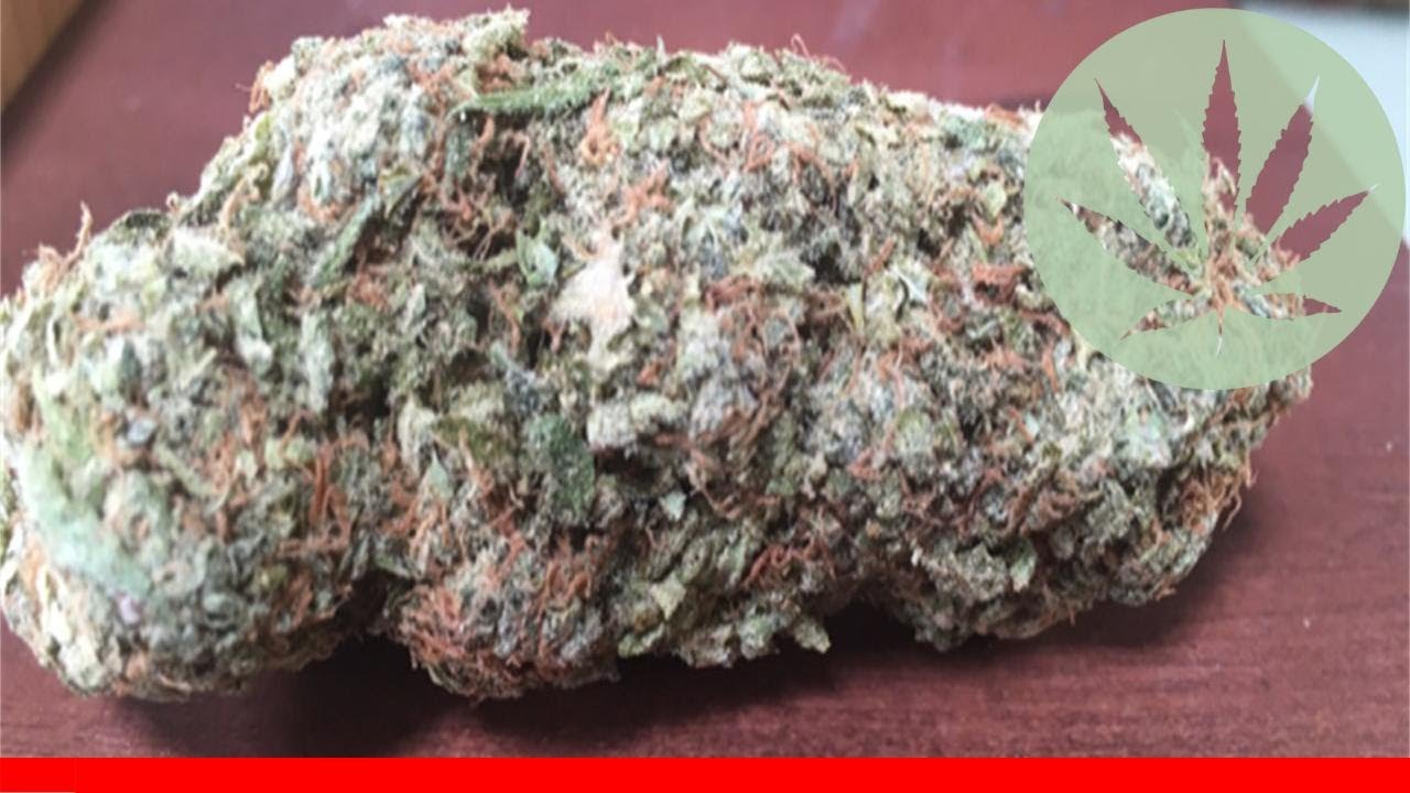 Laughing Buddha - All About This Strain