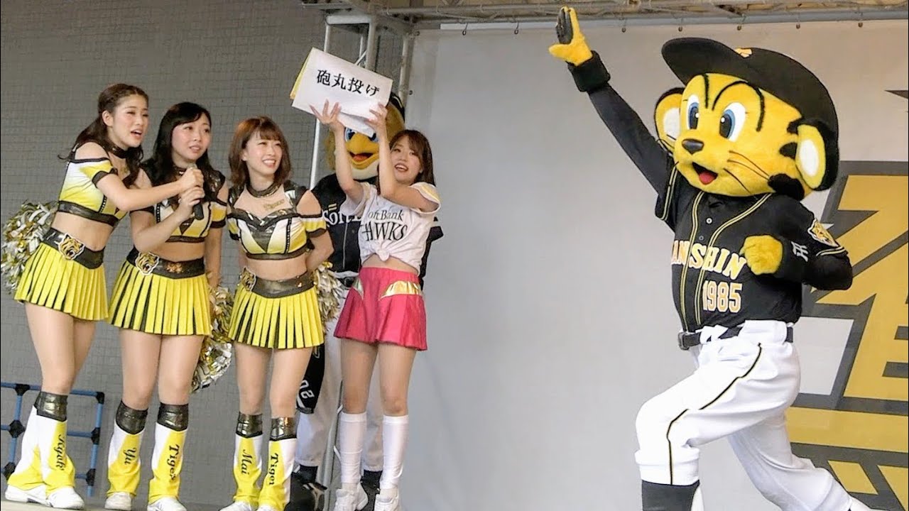 2019.06.12 ハニーズ x タイガースガールズ マスコットバラエティステージ