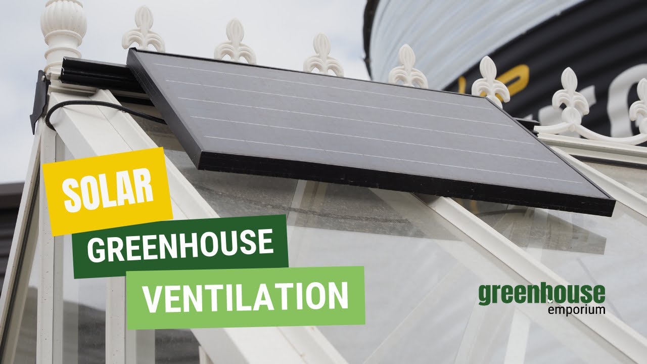 Eco-Friendly Cooling: Solar-Powered Greenhouse Fan