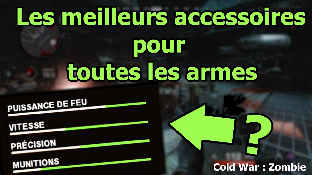 Les meilleurs accessoires pour toutes les armes [ Cold War Zombie ]