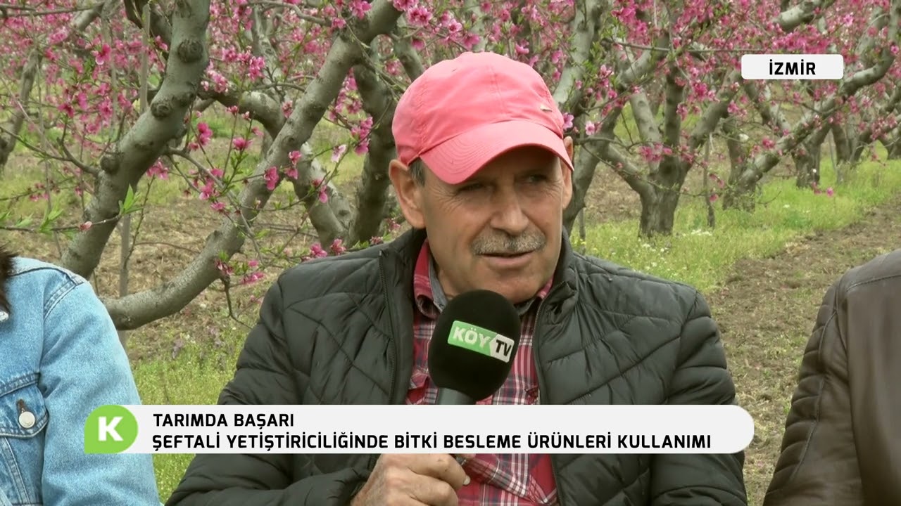 ŞEFTALİ YETİŞTİRİCİLİĞİNDE BİTKİ BESLEME ÜRÜNLERİ KULLANIMI | TARIMDA BAŞARI